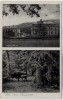 AK Aus dem Saupark Jagdschloss Wisente bei Springe 1940