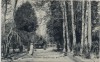 AK Nischni Nowgorod Ни́жний Но́вгород Straßenansicht Allee Menschen Russland 1910 RAR