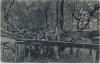 AK Pozdrav ze Bzence Bzenec Bisenz Alter Baum mit Frau Hodonín Tschechien 1921
