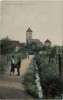 VERKAUFT !!!  AK Freinsheim / Pfalz Pfälzer Heimatbilder Ortsansicht Kinder  1910 RAR