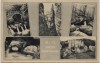 AK Echternach Petite Suisse Luxembourgeoise Luxemburg 1953