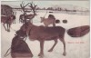 AK Rensdyr med Pulk Rentiere Schweden 1910