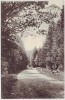 AK Gruss aus Schleswig Colonnen-Weg Kolonnenweg 1906