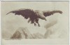 AK Foto Adler Alpen Verlag Fernande Berchtesgaden 1907