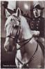 AK Foto Wien Spanische Reitschule Lipizzaner mit Reiter 1950