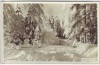 VERKAUFT !!!   AK Foto Kurort Hartha Winterwald bei Tharandt 1960
