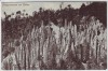 AK Erdpyramiden am Ritten bei Bozen Südtirol Italien 1906