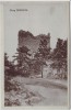 AK Burg Mödling Niederösterreich Österreich 1923