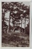 AK Foto Kammersteinerhütte bei Perchtoldsdorf Niederösterreich Österreich 1940