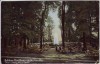 AK Niederwiesa Schloss-Gasthaus Lichtenwalde 1908