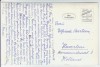 AK Foto Poysdorf Ortsansicht mit Pestsäule Niederösterreich Österreich 1954