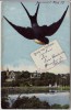 AK Gruss aus Grimma Ortsansicht mit Schwalbe 1908