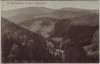 AK Sankt Andreasberg Oberharz Wäschgrund bei Braunlage 1911