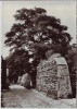 AK Foto Bernau bei Berlin An der Stadtmauer 1976