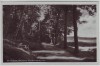 AK Foto Arendsee (Altmark) Promenade am See 1930