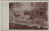 AK Foto Leipzig Löwen im Freigehege im Leipziger Zoo 1930