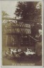 AK Foto Beresanka Березанка deutsche Einwanderer Kolonie Beresan Alexanderfeld Bauernhof Ukraine 1910 RAR
