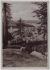 AK Tanne (Harz) Ortsansicht bei Oberharz am Brocken 1950
