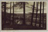 AK Foto Wolfratshausen Ortsansicht durch Bäume Isartal 1930