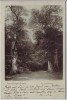 AK Neuenburg (Friesland) Neuenburger Urwald Am Amalienplatz Zetel 1902
