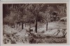 VERKAUFT !!!   AK Foto Seifhennersdorf in Sachsen Restaurant zur Windmühle Windmühlberg im Winter 1940 RAR