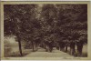 AK Jena Alleen im Paradies 1917