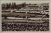 AK Foto Berlin Westend Sommerblumen am Funkturm 1942