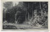 VERKAUFT !!!   AK Foto Körnbachtal bei Geraberg Elgersburg 1936