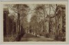 AK Essen Fried. Krupp A.G. Kolonie Cronenberg 2 1915