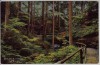 AK Waldeck (Thüringen) Die Buchen bei Bad Klosterlausnitz 1910