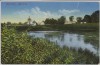 AK Mühlberg/Elbe Alte Elbe Ortsansicht 1910