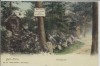 AK Bad Elster Waldquelle 1907