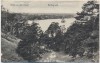 AK Berlin Wannsee Partie an der Havel Dachsgrund 1911
