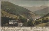 AK Bad Peterstal Freyersbach Ortsansicht 1902