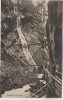 AK Wimbachklamm mit Wanderer b. Ramsau Berchtesgaden Bayern 1910