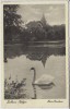 AK Luftkurort Dalheim-Rödgen Blick auf Haus Barbara mit Schwan und See bei Wegberg 1930 RAR