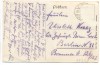 AK Feldberg i. Mecklenburg Weg zum Forsthaus Feldberger Hütte 1920