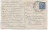 AK Manebach Thüringer Wald Kuhherde bei Ilmenau 1950