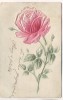Präge-AK Rote Rose 1908