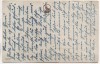 AK 3 Katzen Kätzchen auf Wippe mit Hund 1920