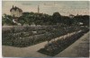 AK Chemnitz Rosarium Stadtpark Soldatenkarte 1908