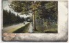 AK Naunhof Waldpartie nach Lindhardt mit Frauen Soldatenkarte 1910