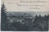 AK Bleicherode Total Ortsansicht Thüringen 1925
