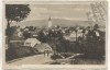 AK Waldthurn Ortsansicht mit Menschen b. Neustadt an der Waldnaab Bayern 1910