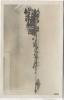 AK Foto Passau St. Valentin Alter Glockenzug 1930 RAR