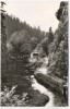 AK Foto Gasthof Waffenhammer b. Stadtsteinach Grafengehaig 1955