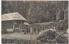 VERKAUFT !!!   AK Waldtheater Oybin Waldkönigs Hochzeit Märchenspiel 1910