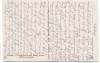 AK Dessau Herzogl. Schloß und Mühle von der Mulde aus gesehen 1915
