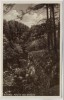 AK Grasleben Partie im alten Steinbruch b. Helmstedt 1930 RAR