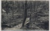 AK Grasleben Wald-Sanatorium Wald Idyll aus dem Park b. Helmstedt 1921 RAR